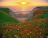 Фотография Журавлевой Ирины