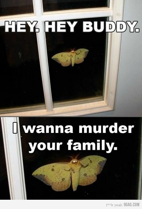 Дмитрий Мельник фотография #8