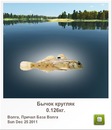 Ігор Бутрин фотография #4 (источник - https://vk.com/id153975582)
