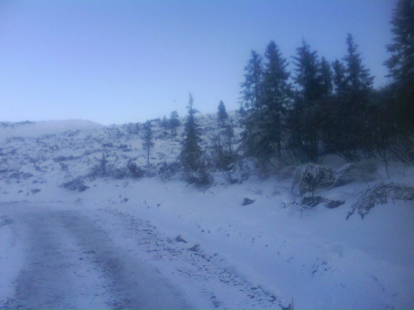 Виктор Петров фотография #18