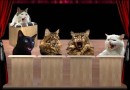 Олексій Остащенко фотография #34 (источник - https://vk.com/id68739914)