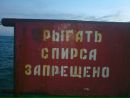 Саня Олексійчук фотография #42 (источник - https://vk.com/id36835240)