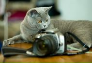 Фотография Абдуллина Артура