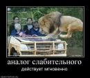 Богдан Вітинський фотография #26 (источник - https://vk.com/id21067711)