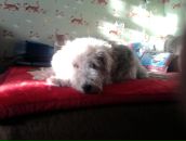 Фотография Самариной Марины