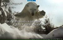 Фотография Крейн Савы