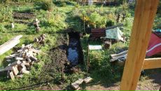 Дмитрий Крамарев фотография #25 (источник - https://vk.com/id274882)