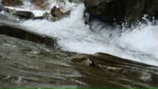 Dmitriy Galich фотография #34 (источник - https://vk.com/id2574196)