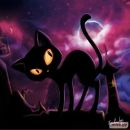 Фотография Crazycat Nadin