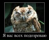 Фотография Мора Марина