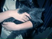 Фотография Варгановой Милы