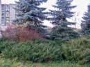 Лєна Мурза фотография #27 (источник - https://vk.com/id55738669)