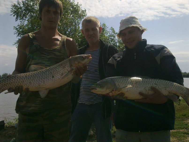 Владимир Ильенко фотография #48