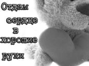 Фотография Окуневич Тамары