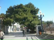 Генадій Поліщук фотография #42 (источник - https://vk.com/id12735408)