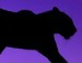 Doll Voodoo фотография #10 (источник - https://vk.com/id90617476)