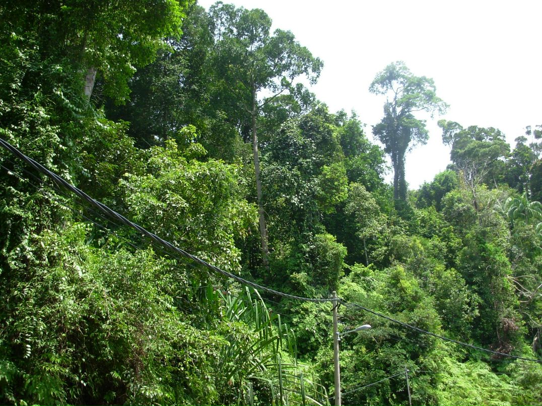 Валерий Иванов фотография #18