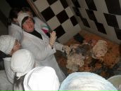 Фотография Николаевны Светланы