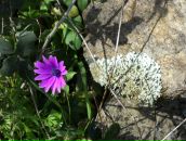 Віра Мала-Воробець фотография #4 (источник - https://vk.com/id16634577)