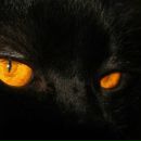 Фотография Турмана Ильи