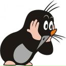 Микита Олімпієв фотография #42 (источник - https://vk.com/id7061882)