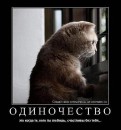 Юлічка Чернишенко фотография #8 (источник - https://vk.com/id60774495)
