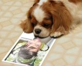 Фотография Лесик Лары