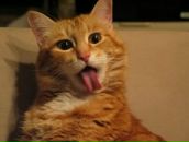 Фотография Пискуновой Людмилы