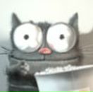 Фотография Друговского Алексея