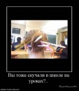 Стюша ==== фотография #5 (источник - https://vk.com/id87637288)