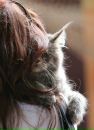 Фотография Вика Кот