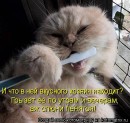 Иришка Венцова фотография #34 (источник - https://vk.com/id4664078)