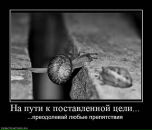 Ірина Куян фотография #14 (источник - https://vk.com/id41514399)