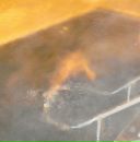 Фотография Авдеева Никиты