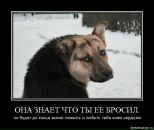 Ірринка Таранко фотография #14 (источник - https://vk.com/id14513633)