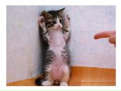 Фотография Трифоновой Татьяны