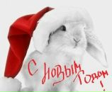 Фотография Черкасова Виталия