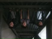 Фотография Васильева Вячеслава