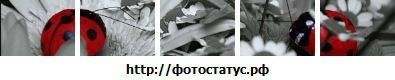 Діана Пастух фотография #13 (источник - https://vk.com/id58203697)