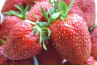 Фотография Пылиной Анны