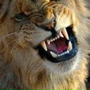 Фотография Масловой Юлии