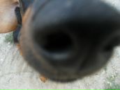 Фотография Юдина Сергея