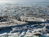 Alex Docent фотография #22 (источник - https://vk.com/id2559402)