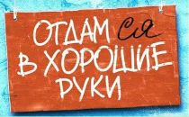 Фотография Беднева Михаила