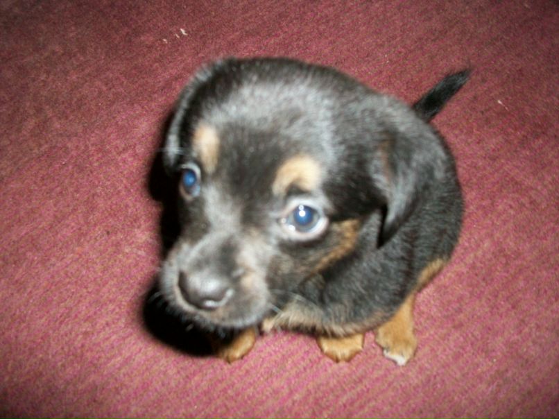 Яков Козлов фотография #3