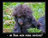 Сергій Ліщук фотография #39 (источник - https://vk.com/id106578424)