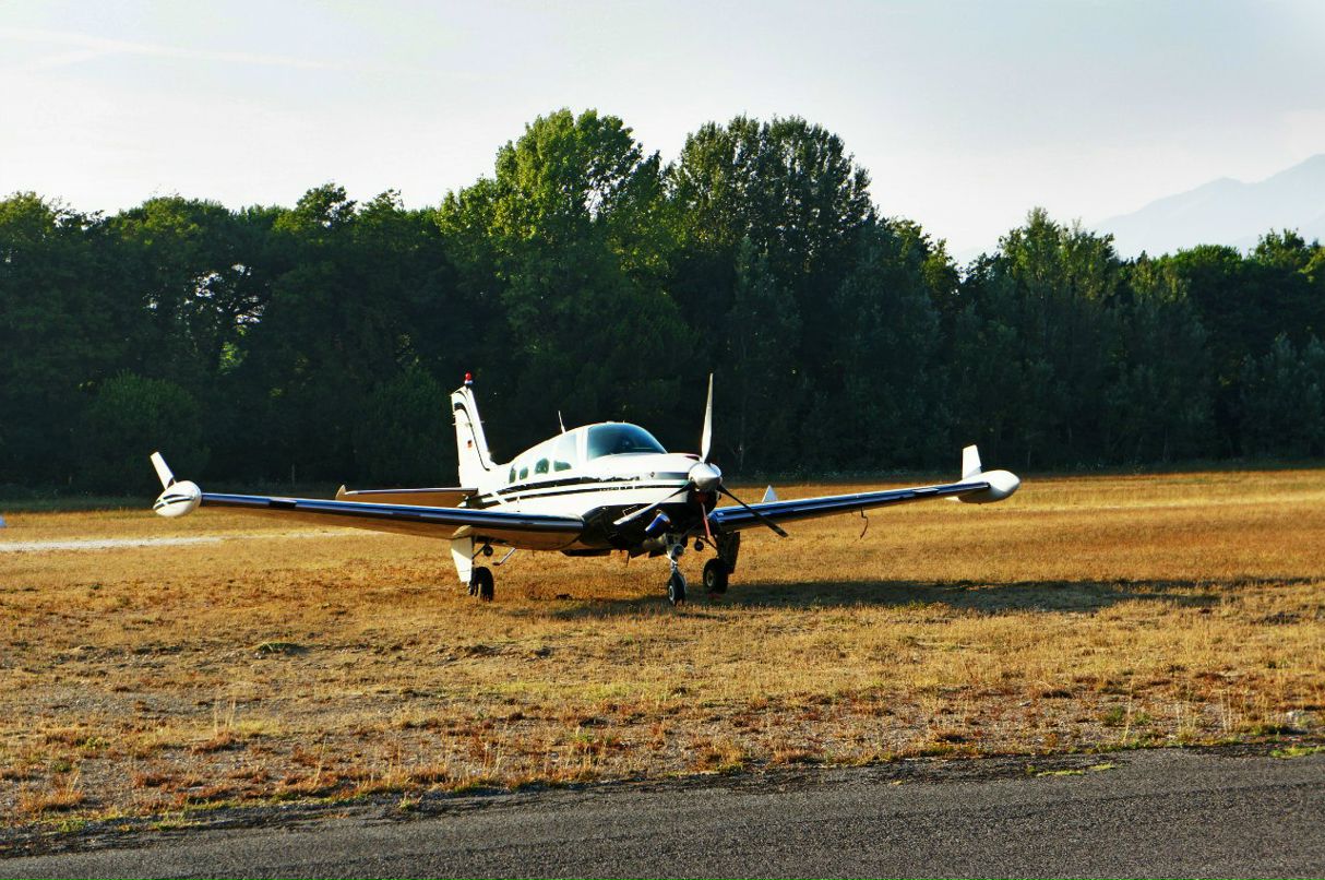 Misha Ross фотография #10