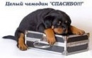 Ігор Гапенко фотография #16 (источник - https://vk.com/id96481398)