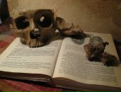 Фотография Дворниковой Марии