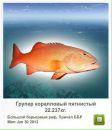 Андрій Орищак фотография #39 (источник - https://vk.com/id43615340)